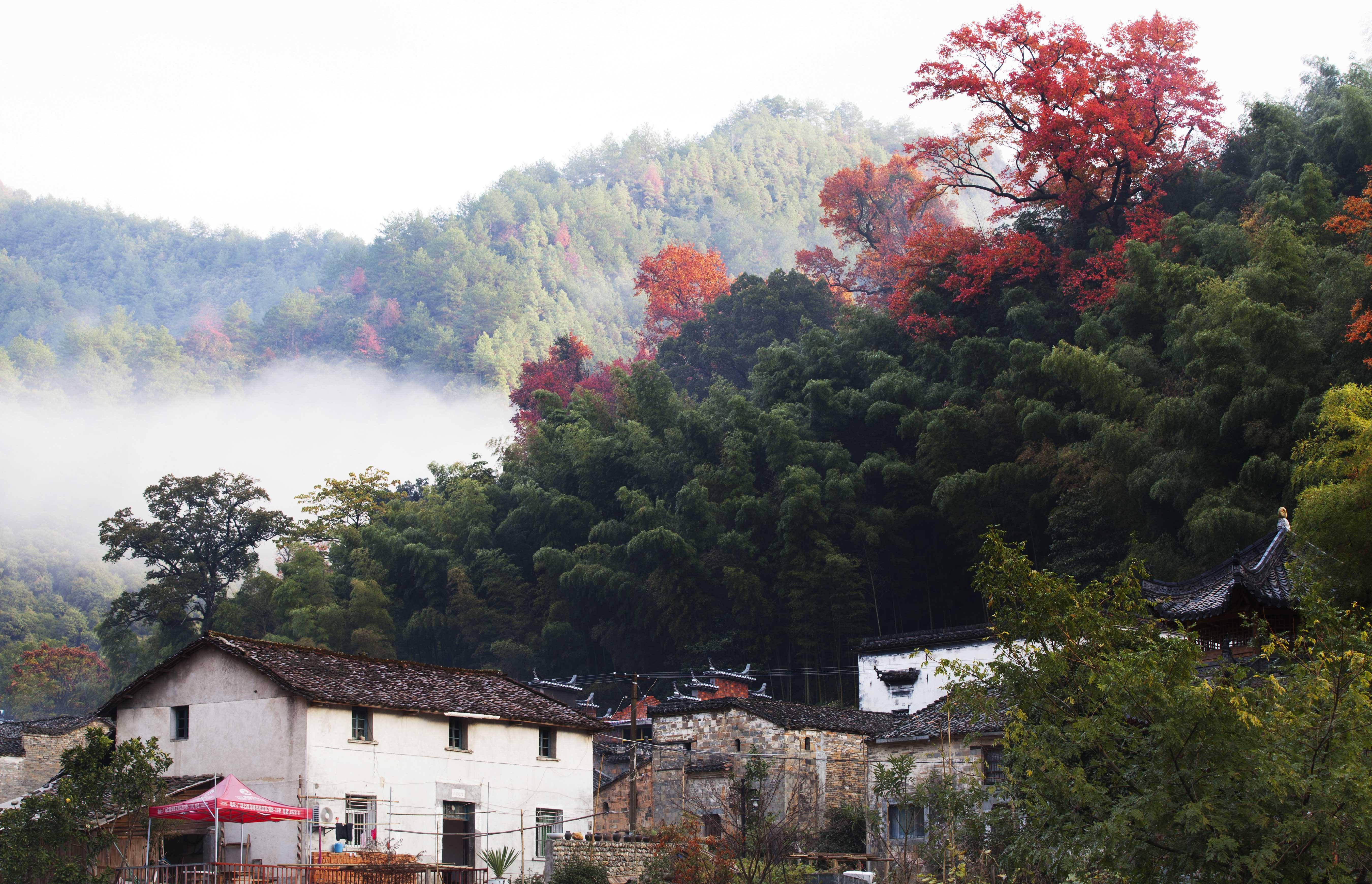 瑶里秋景