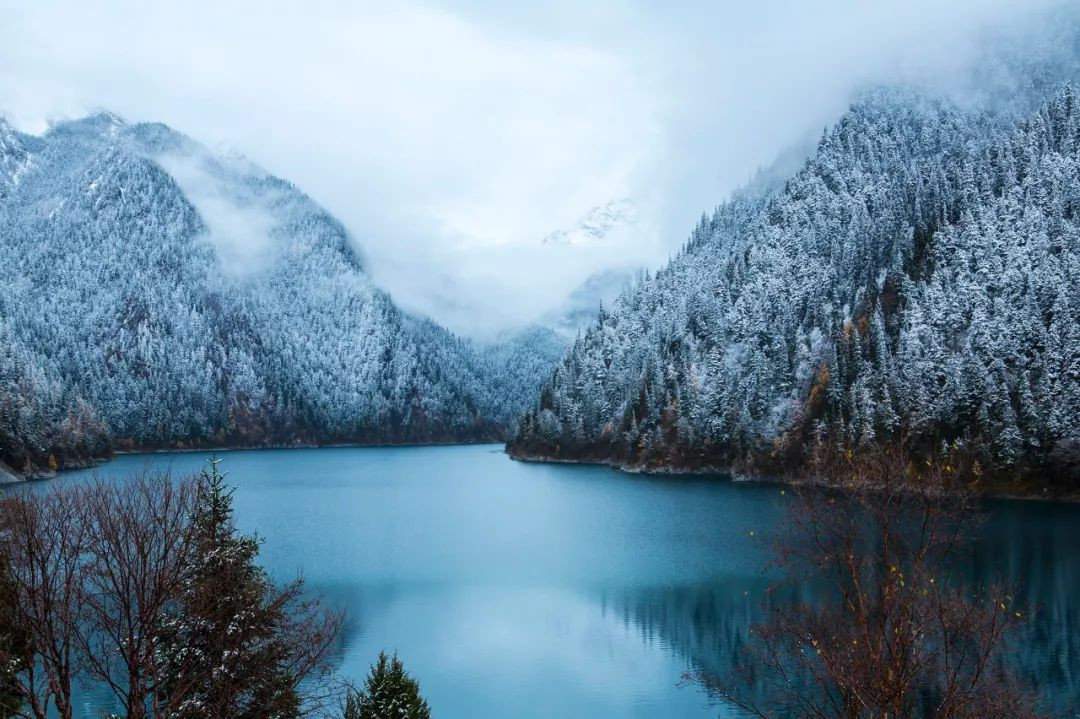 喀纳斯初雪