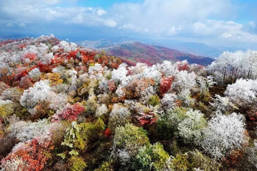 长白山秋景1